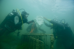 purlac hori (Copier)